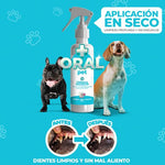 Oral Pet: Spray Bucal Antibacterial para Perros